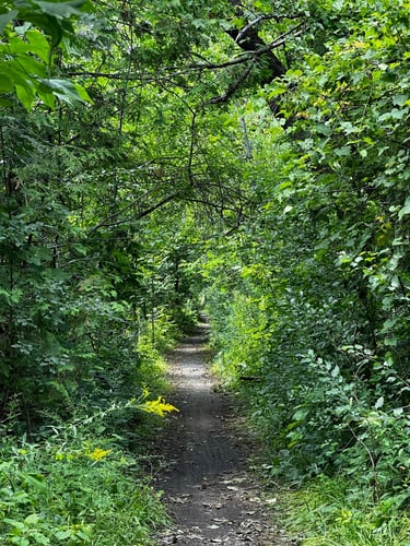 riding to Fort-Coulonge (feat. PPJ)