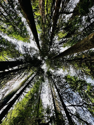 Exploring North Vancouver