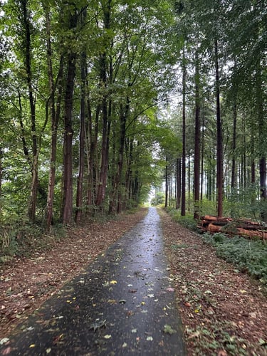 To Ascheberg #eurobiketrip