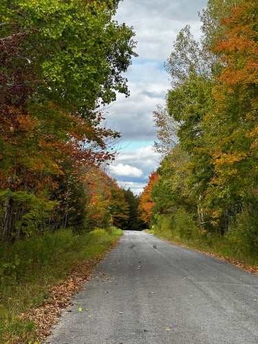 Hopetown Hoedown with Tony!
