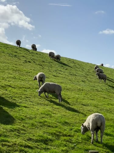 To Bremerhaven #eurobiketrip