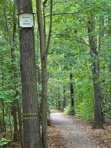 felix’s route around Leipzig