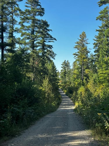 LDW Day 3: day-long pain cave