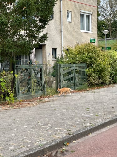 exploring from the castle onwards