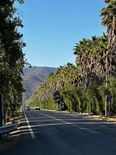 Brevet 300km: Vuelta los Poetas