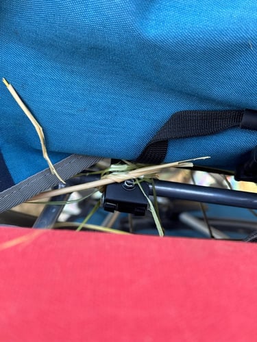 Chillán a Concepción: Gran Fondo