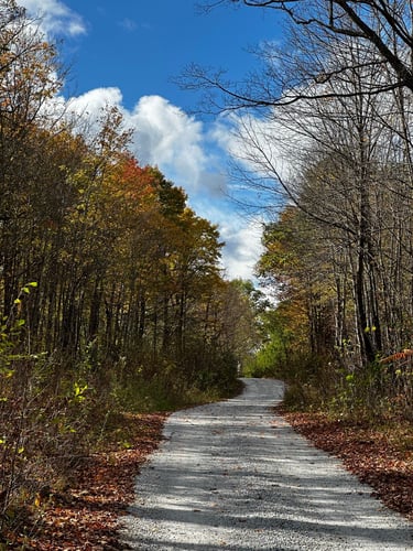 Hopetown Hoedown with Tony!