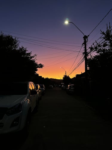 Brevet Valdivia: Accident Edition 🚑