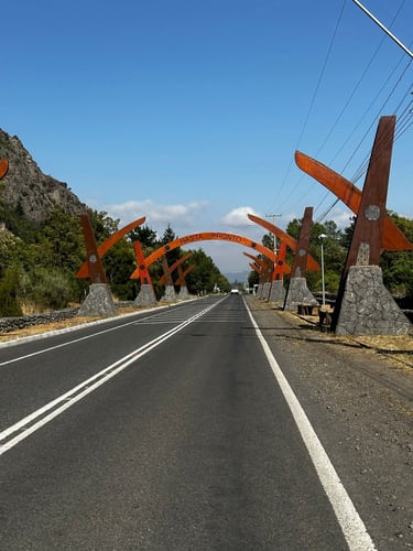 Antuco towards Los Ángeles (the real LA)