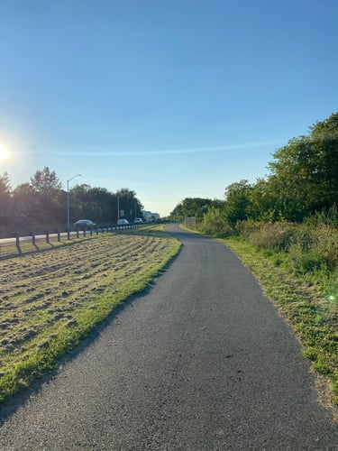 a road with grass and trees on the side