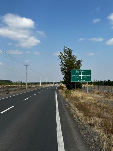 Antuco towards Los Ángeles (the real LA)