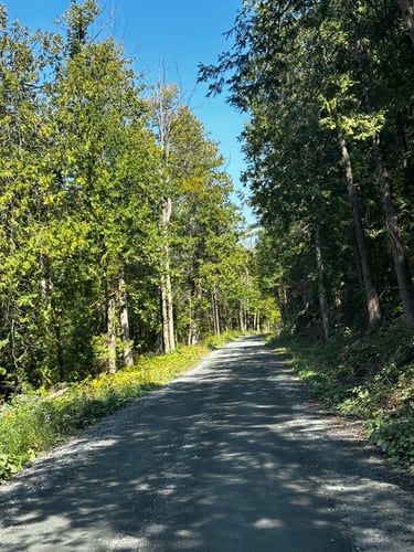 LDW Day 3: day-long pain cave