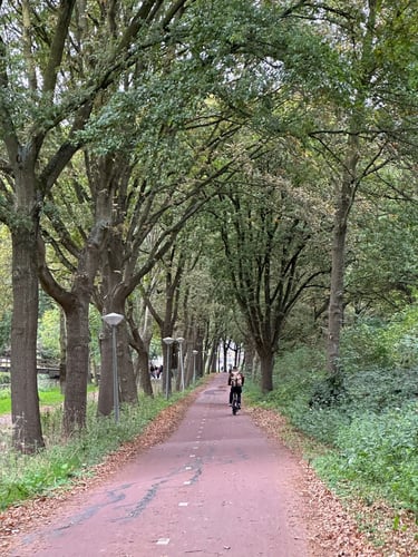 exploring from the castle onwards