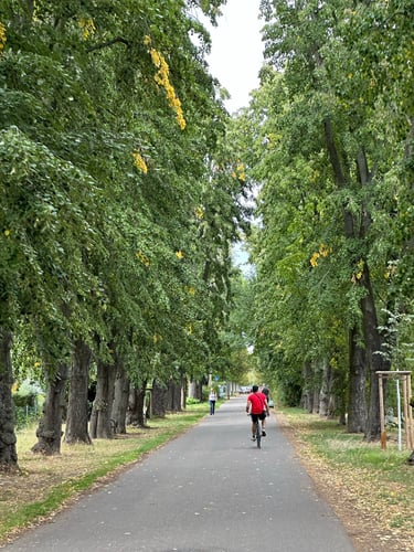 felix’s route around Leipzig