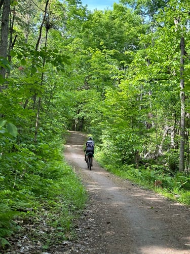 camping with nathan and nick