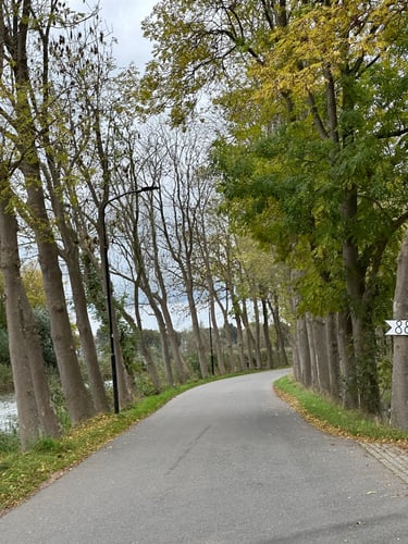 exploring from the castle onwards