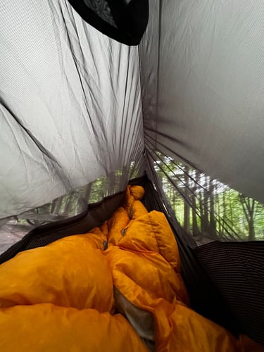 back home from wesley clover parks