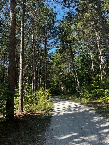 LDW Day 3: day-long pain cave