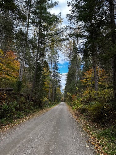 Hopetown Hoedown with Tony!