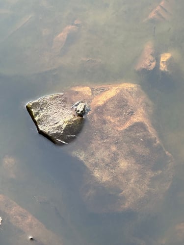 QBC Bikepacking return from Merrickville