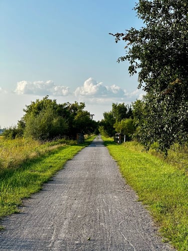 Chaffey’s Lock to Ottawa through Merrickville