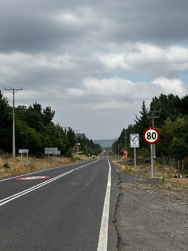 Antuco towards Los Ángeles (the real LA)