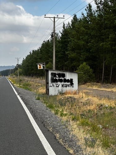 Antuco towards Los Ángeles (the real LA)