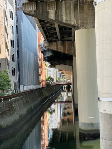 Tokyo Scramble to Yoyogi Park