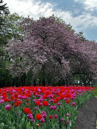 Riding around Bruce Pit with the gang