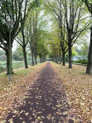 amsterdam parks ride