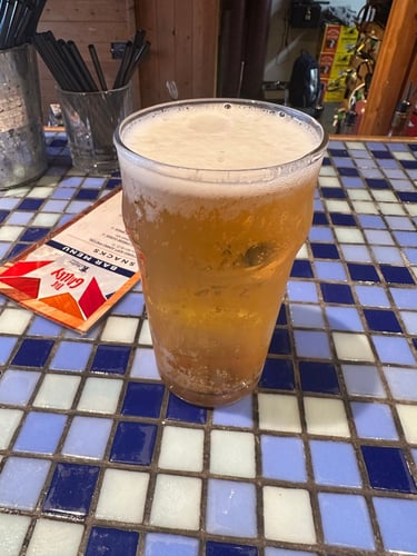 Bikepacking to The Opinicon