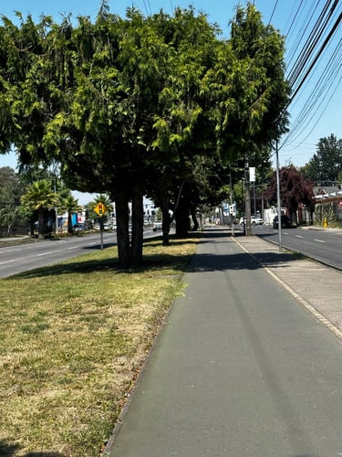 Antuco towards Los Ángeles (the real LA)