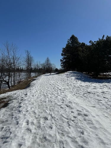 ice-skating by the arboretum
