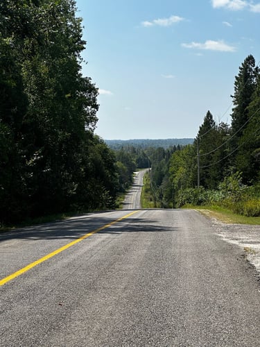 LDW Day 2: chill day