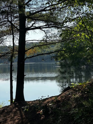 LDW Day 2: chill day