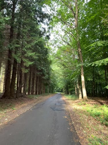 To Hårbølle #eurobiketrip