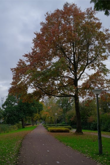 amsterdam parks ride