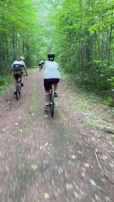 Step Thru Train Ride