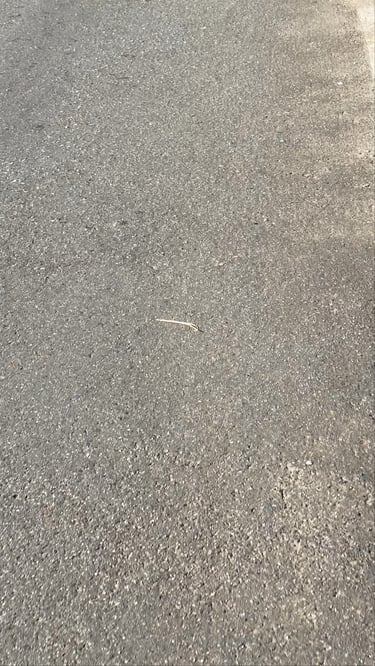 Niebla + Corral 🚵‍♂️