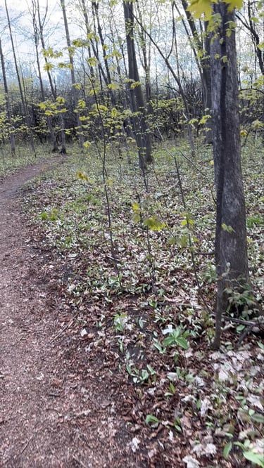 Riding around the Greenbelt