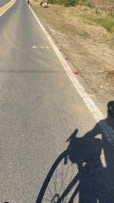 Niebla + Corral 🚵‍♂️