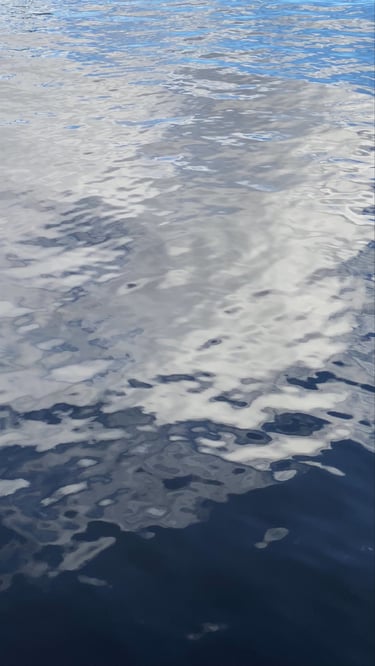 a body of water with ripples