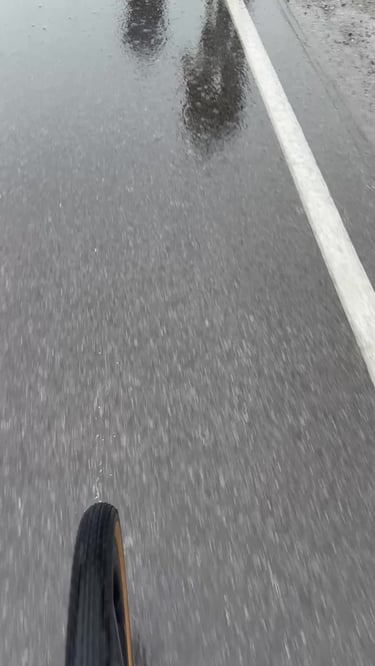 Step Thru Train Ride