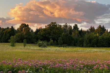 Pembroke-Fort-Coulonge Tour