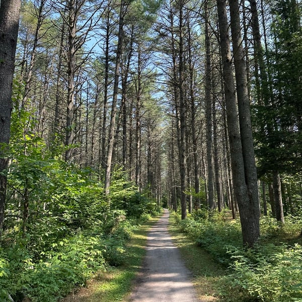 Tour de Petite Nation - Day 3