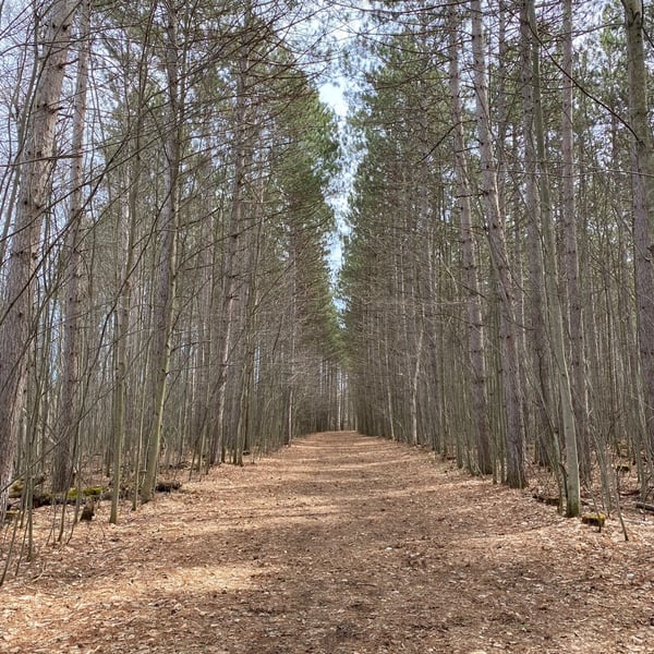 Hitting the Trails with Nathan
