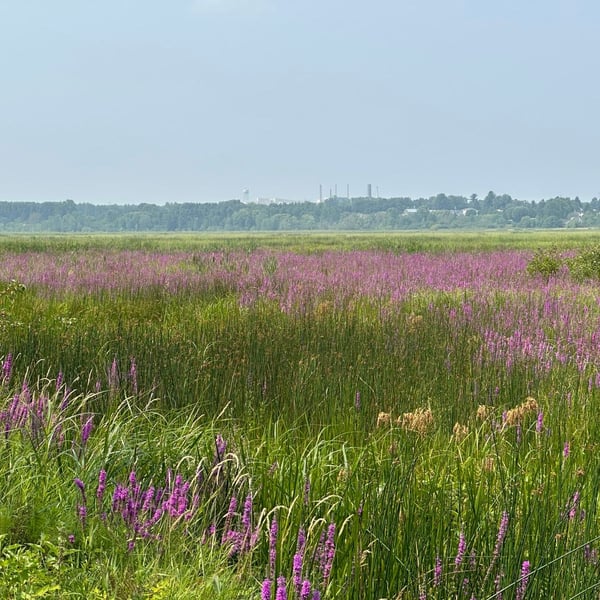 Tour de Petite Nation - Day 4