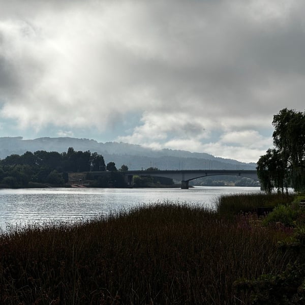 Valdivia 👉 Niebla