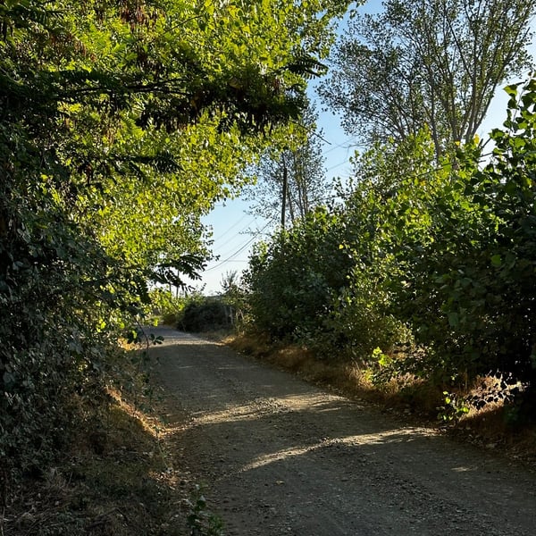 Wandering around Monterrico