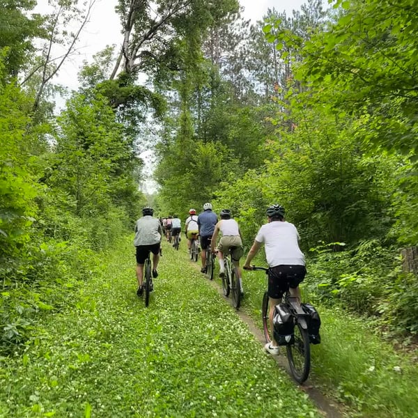Step Thru Train Ride